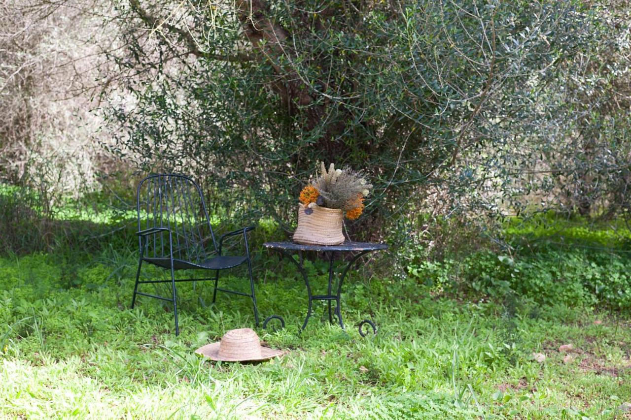 Finca Son Sureda Agroturismo Manacor  Eksteriør bilde